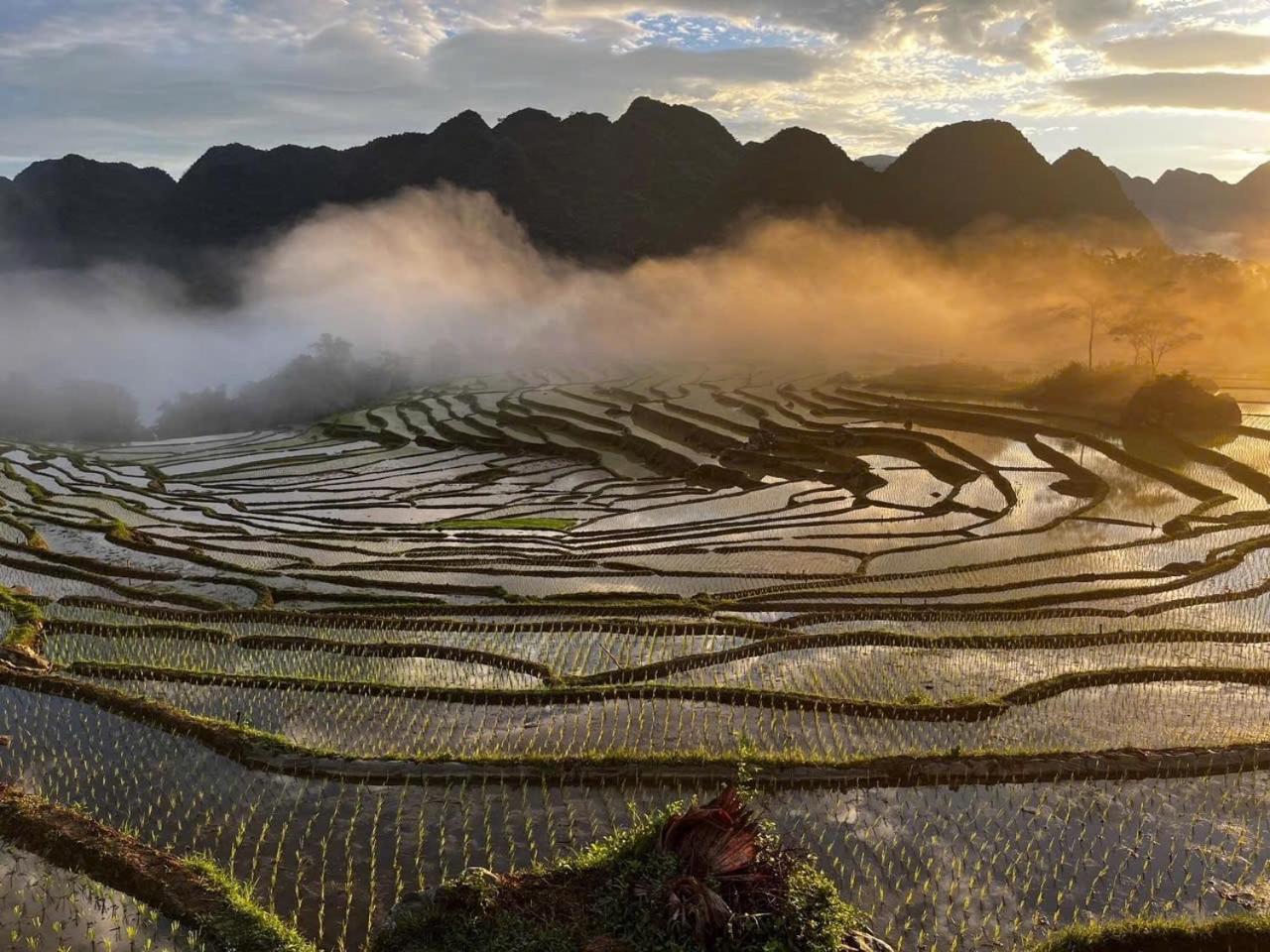 Oh Pu Luong Huong Ba Thuoc